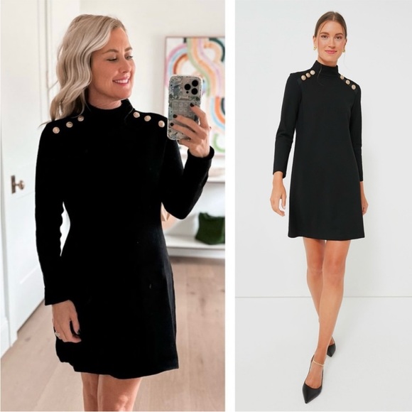 Tuckernuck Dress Lawson Mini Gold Buttons in Black